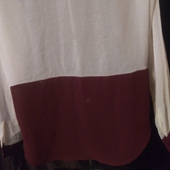 Cream and Burgundy Transparent Button Up Blouse - Picture 4 of 4